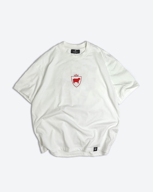 Ruined for the Ordinary T-Shirt