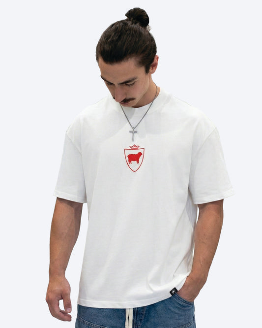 Ruined for the Ordinary T-Shirt