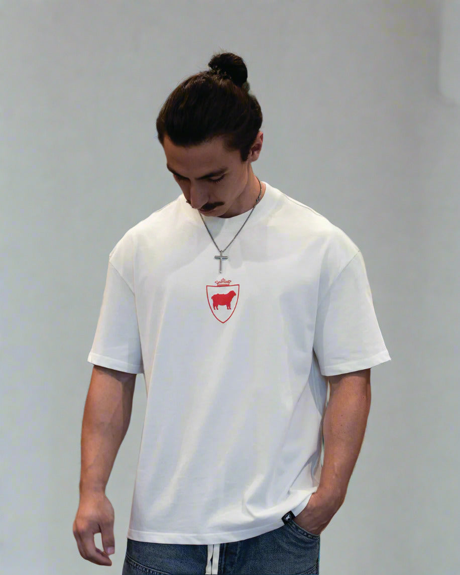 Person wearing a white t-shirt with a red logo in a room with shelves and books.